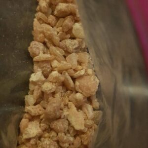 speed online in hamburg