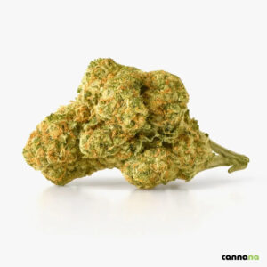 Amnesia Superior Blend 40 % 🧠